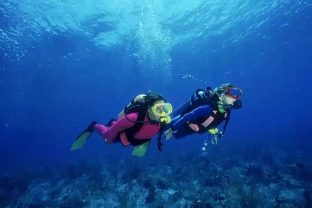脑洞大开,尽在问答交流平台关羽和张辽都是打不过就加入,为什么后世的风评差距